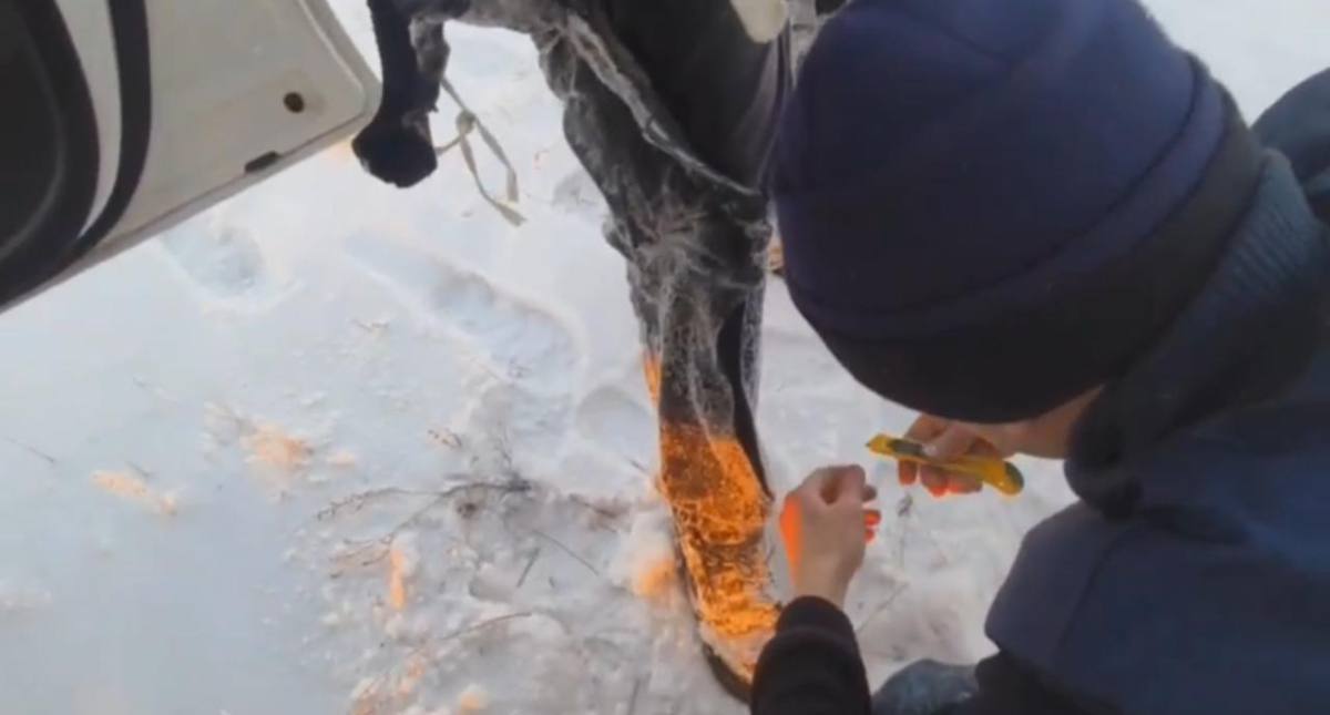 ەكىباستۇزدا مۇز ويىلىپ, سۋعا كەتكەن بالىقشىلار قۇتقارىلدى