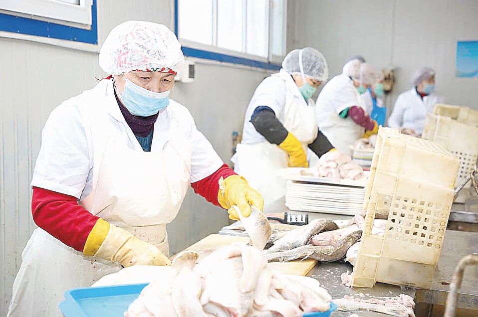 بالىق شارۋاشىلىعىندا بەرەكە بار