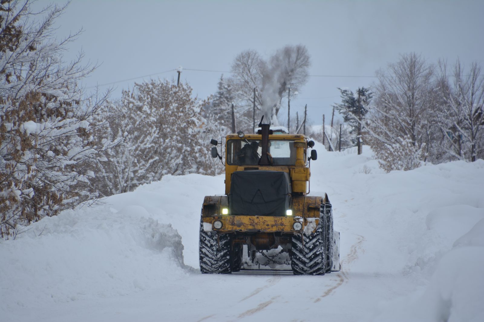 شىعىستا قالىڭ قار جاۋدى: جول تازالاۋعا قانشا تەحنيكا جۇمىلدىرىلدى؟