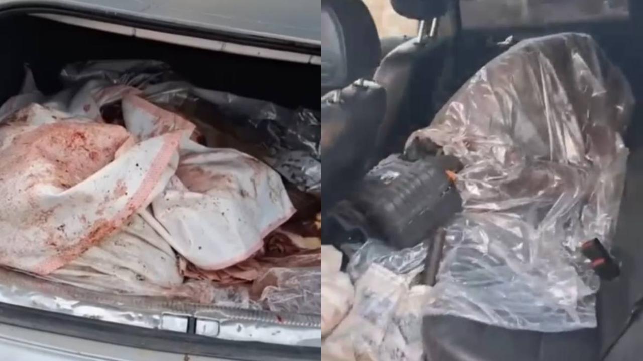 جامبىل وبلىسىندا ەكى ادام جايىلىمداعى جىلقىنى اتىپ الىپ كەتكەن