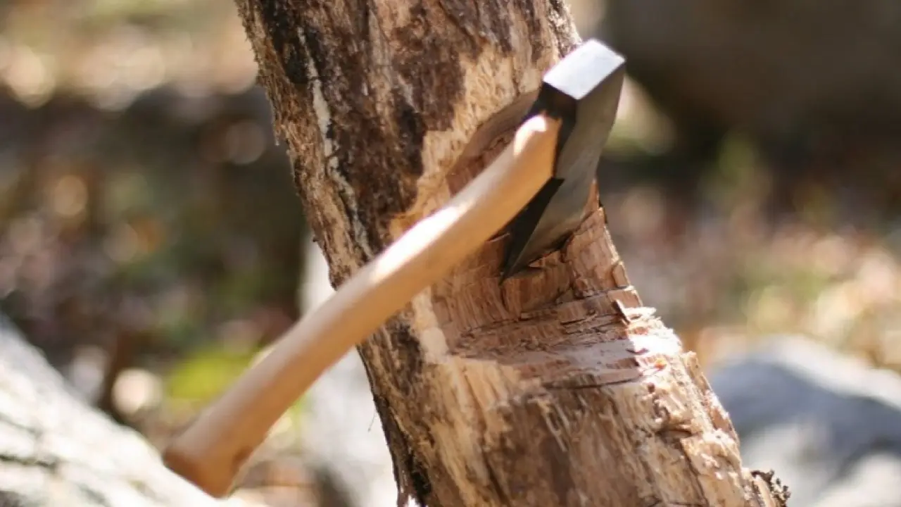 اباي وبلىسىندا 92 اعاش زاڭسىز كەسىلىپ, زالال 760 مىڭ تەڭگەدەن اسقان