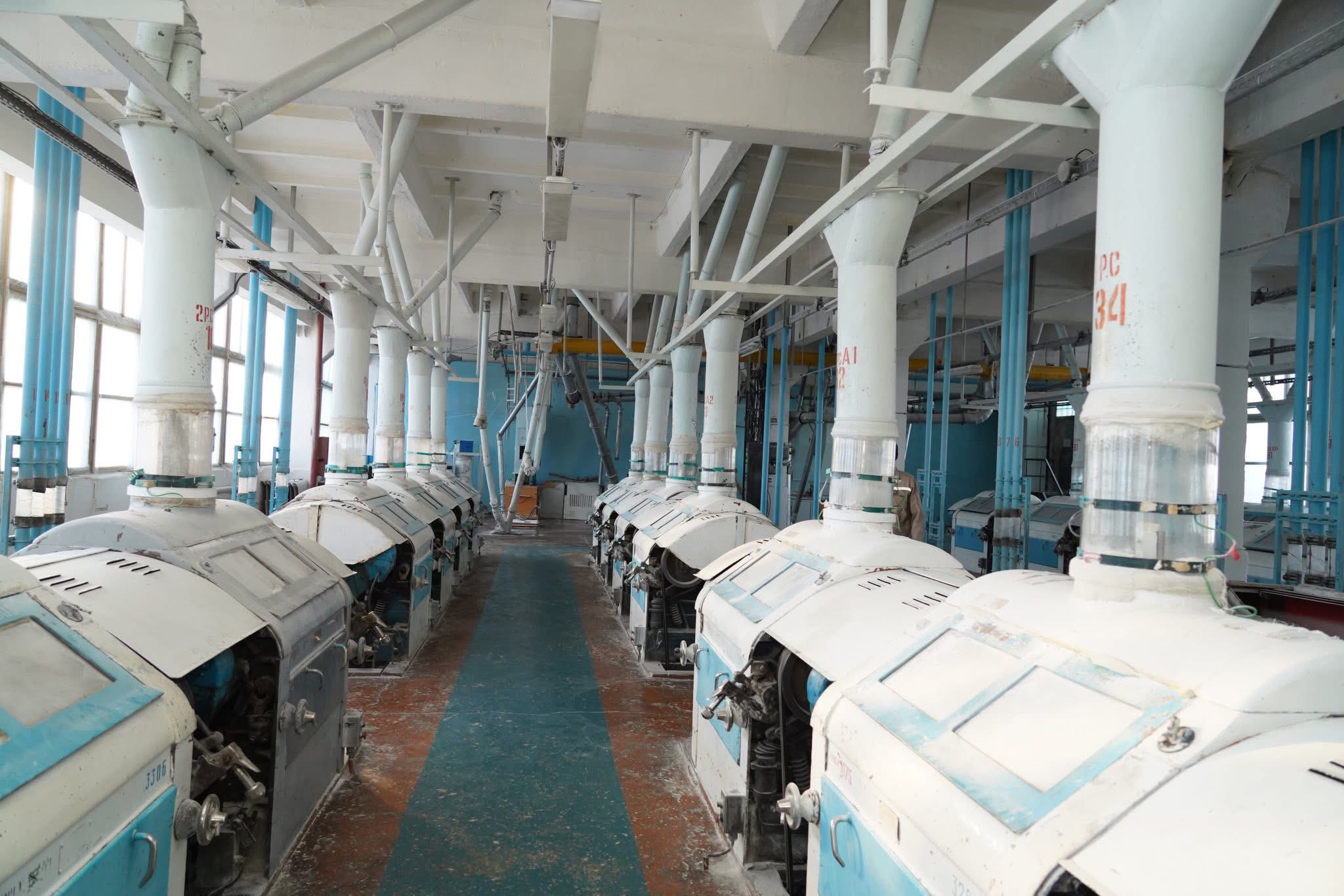 تۇركىستان وبلىسىندا بيداي وڭدەيتىن زاۋىت ىسكە قوسىلدى