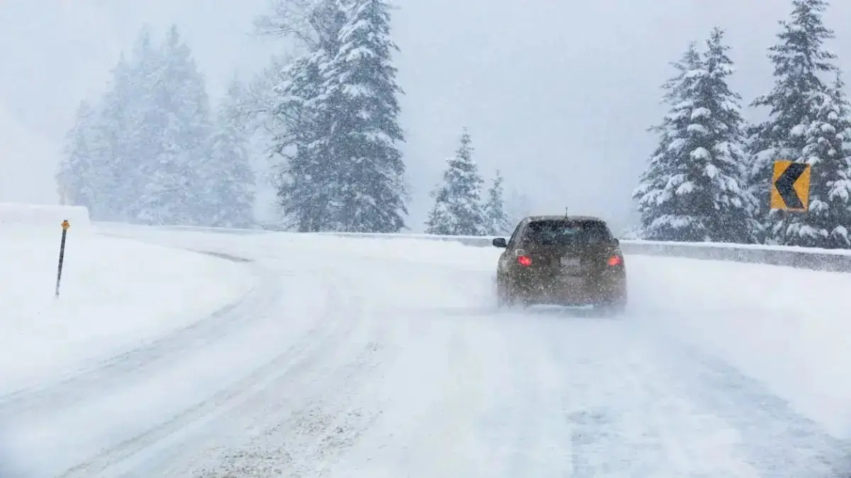 قازاقستاننىڭ 14 وبلىسىندا داۋىل سوعادى