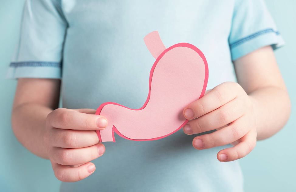 جامبىل وبلىسىندا 22 ءجاسوسپىرىم اۋرۋحاناعا ءتۇستى: لاگەردە سانيتارلىق تەكسەرىس باستالدى