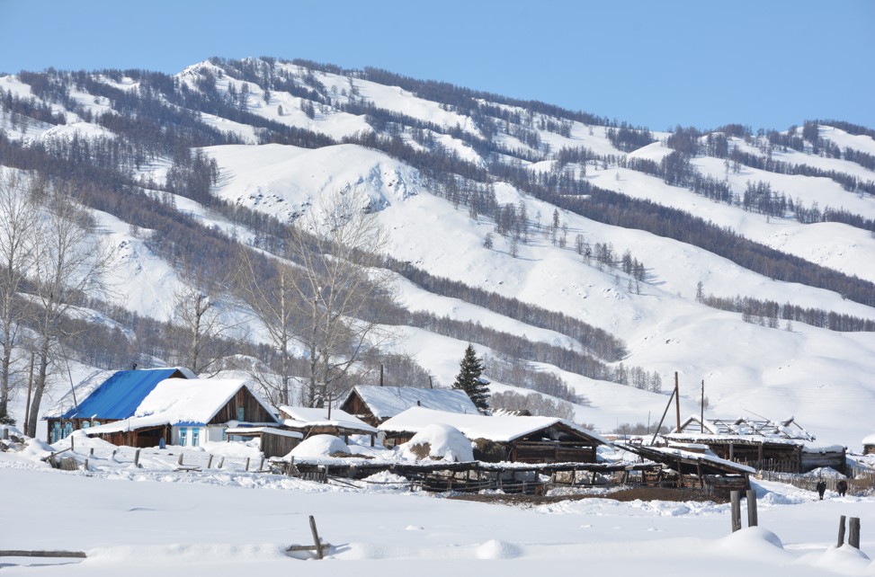 ناعىز قىس – شاناعاتىدا