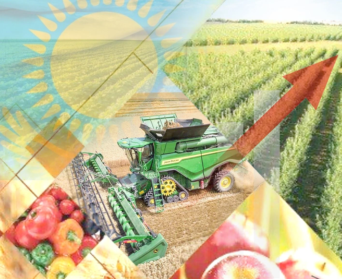 300 ملرد تەڭگە شىعىن: اۋىل شارۋاشىلىعىندا قانداي بىلىقتاردىڭ بەتى اشىلدى؟