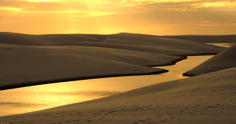 افريكادان ارالعا دەيىن: قۇم جۇتقان كولدەردى قايتسەك قۇتقارامىز؟