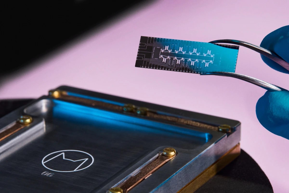 قاتەلىكتىڭ الدىن الادى