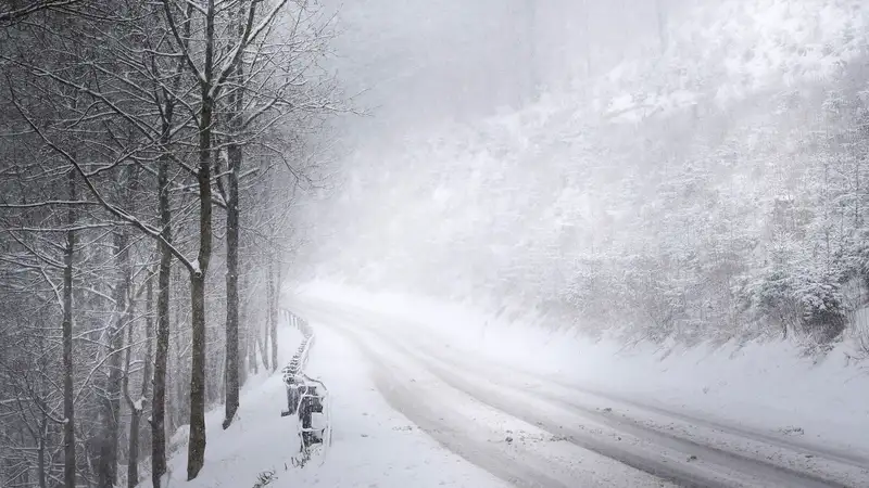 الداعى ءۇش كۇندە اۋا رايى قالاي قۇبىلادى؟