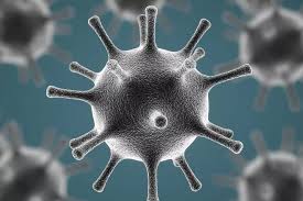 جاڭا قاۋىپتى ۆيرۋس: ءۇندىستاننان كەلگەن ادامدار ەرەكشە باقىلاۋدا بولادى