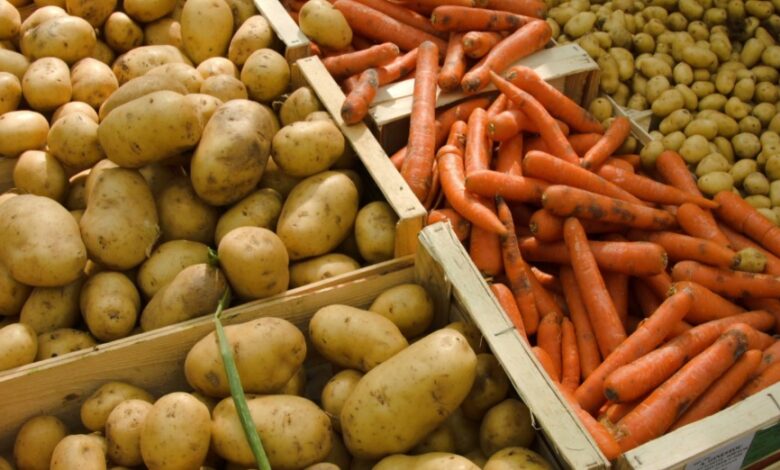 كارتوپ پەن ءسابىز: 2026 جىلى تاپشىلىق قاۋپى بار ما؟