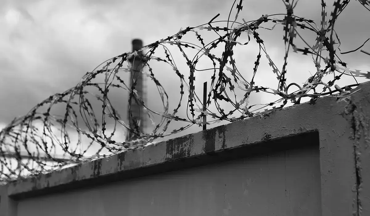 وتكەن جىلى جامبىل وبلىسىندا 1471 ادام سوتتالعان