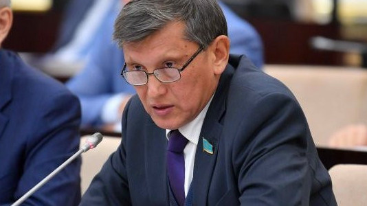 ونەر وردالارىنىڭ ءورىسى