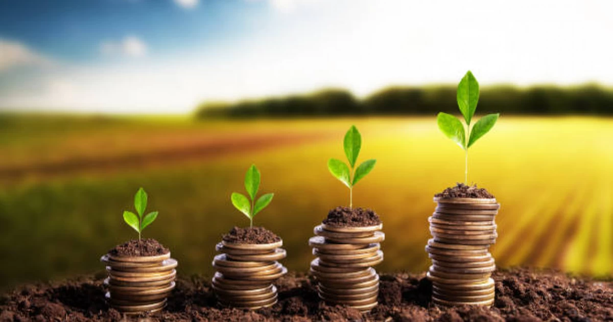 شارۋالاردى ەرتە قارجىلاندىرۋ ءىسى قالاي جۇزەگە اسىرىلىپ جاتىر؟