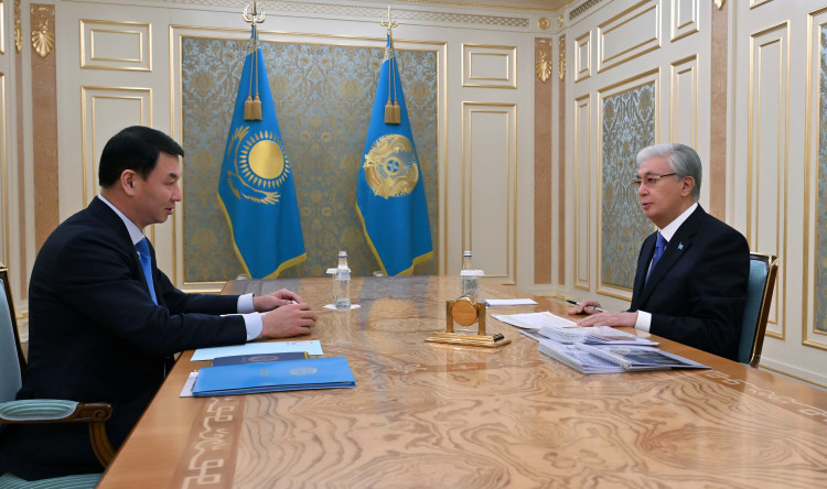 پرەزيدەنت دارحان ساتىبالدىعا الماتىنىڭ ەكولوگيالىق جاعدايىن جاقسارتۋدى تاپسىردى