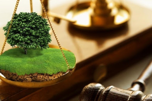 الماتى ماڭىنداعى اۋىل شارۋاشىلىعى جەرلەرىن بولشەكتەۋ قاشان توقتايدى؟