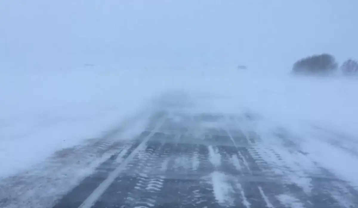 قازاقستاندا قاي جولدار جابىق تۇر؟