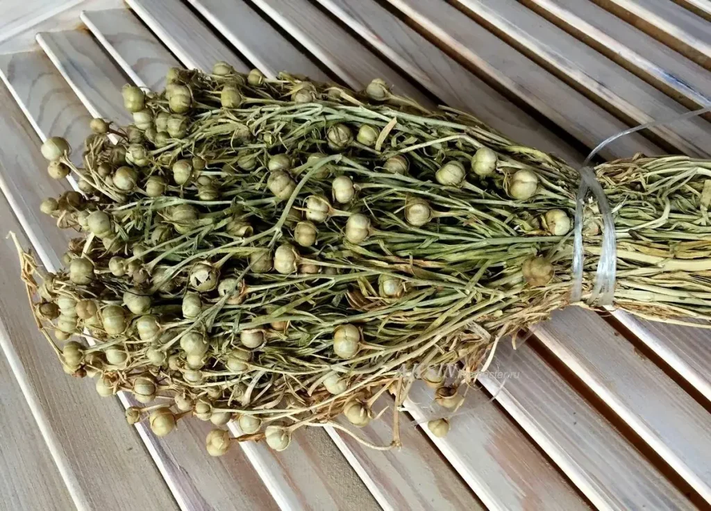 رەسەي ەلشىلىگى ادىراسپانعا بايلانىستى ەل تۇرعىندارىنا ەسكەرتۋ جاسادى