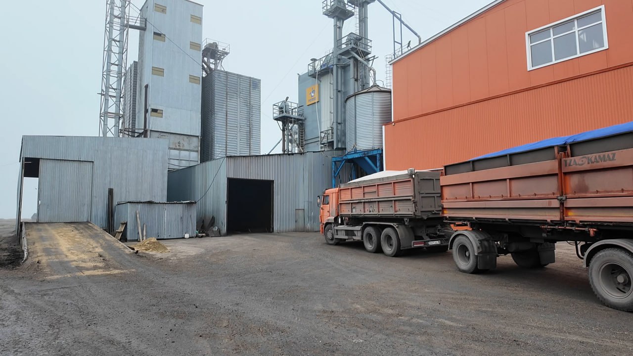 ماي زاۋىتى شيكىزاتقا ءزارۋ