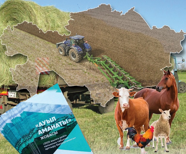 «اۋىل اماناتى» جاستاردى قولدايدى