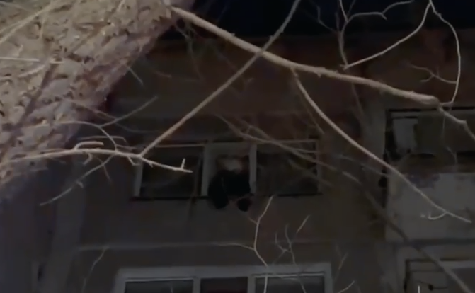 قاراعاندىدا قۇتقارۋشىلار تەرەزە الدىندا وتىرعان بالانى امان الىپ قالدى