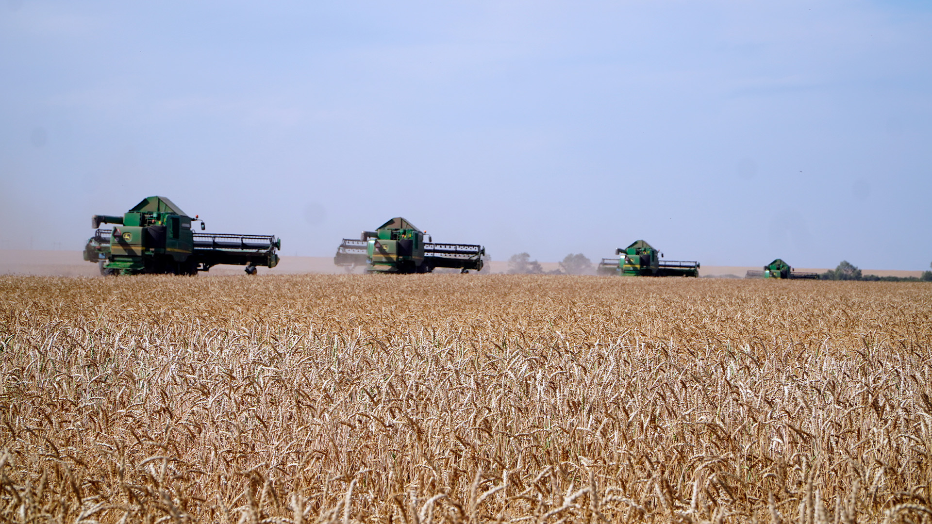 اگروونەركاسىپ كەشەنىن دامىتۋ: شارۋالارعا جىلدىق 5%-بەن جەڭىلدەتىلگەن نەسيە بەرىلەدى