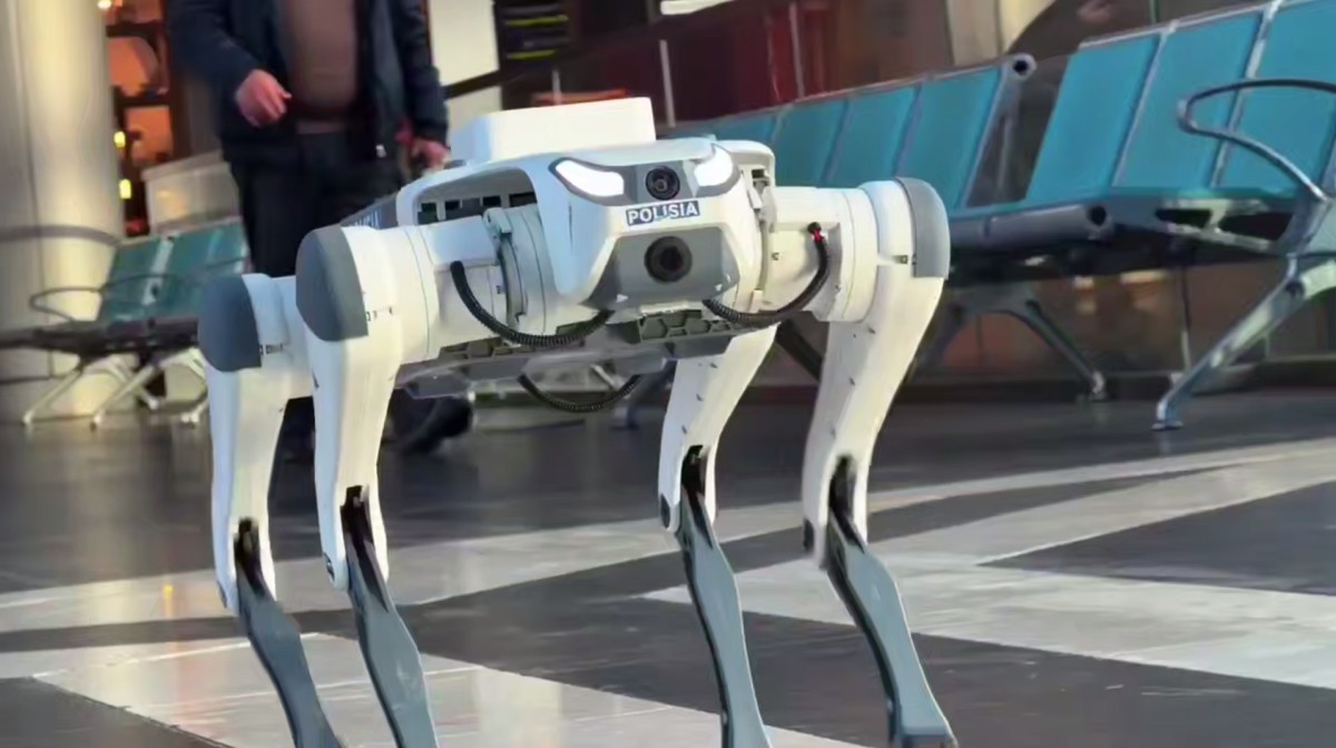 روبوت-پوليتسيا