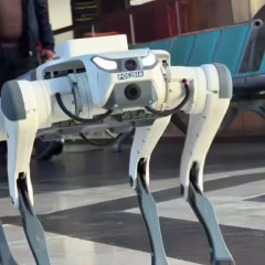 روبوت-پوليتسيا