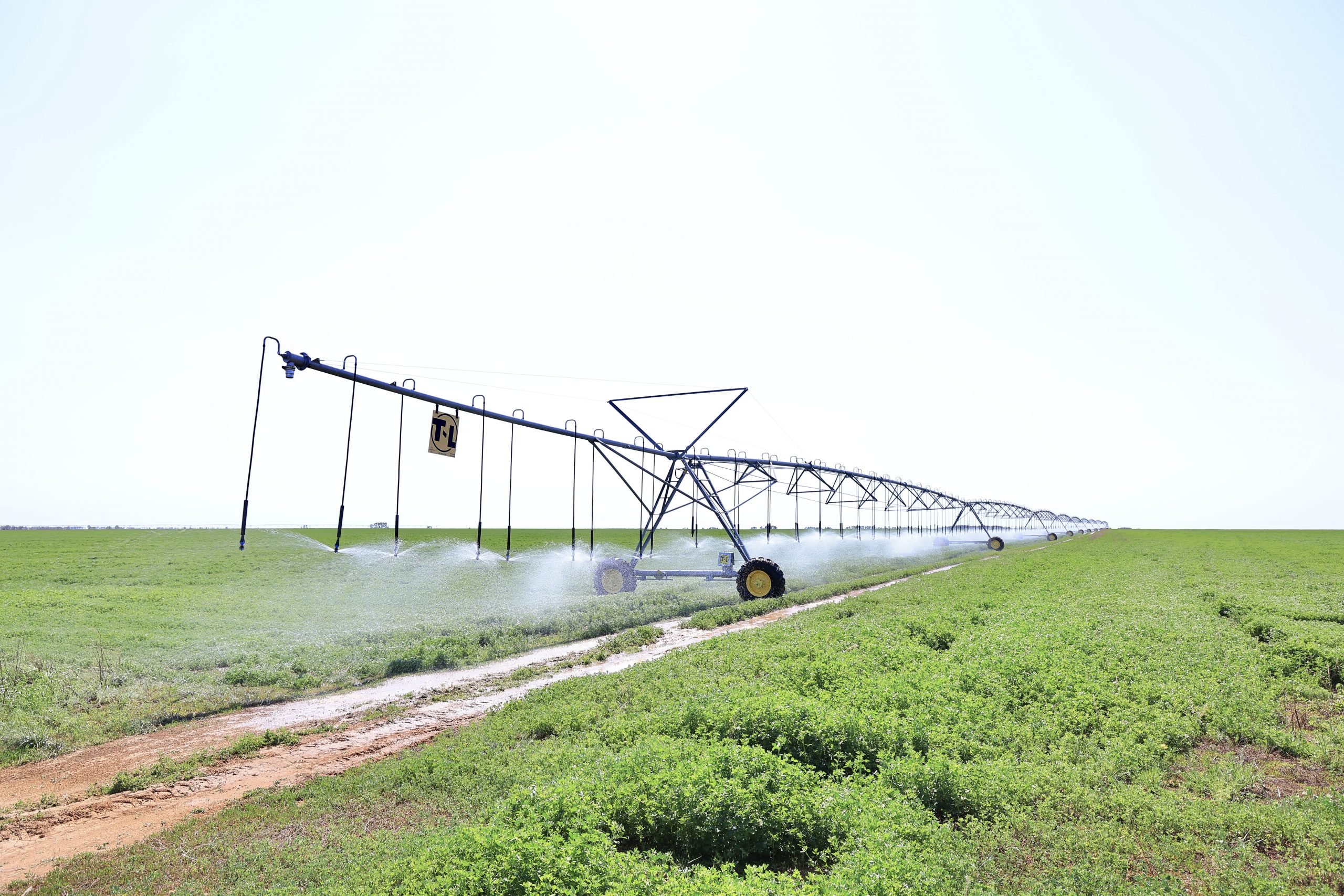 قاعاز جۇزىندەگى كووپەراتيۆ اۋىلدى قۇتقارا ما؟