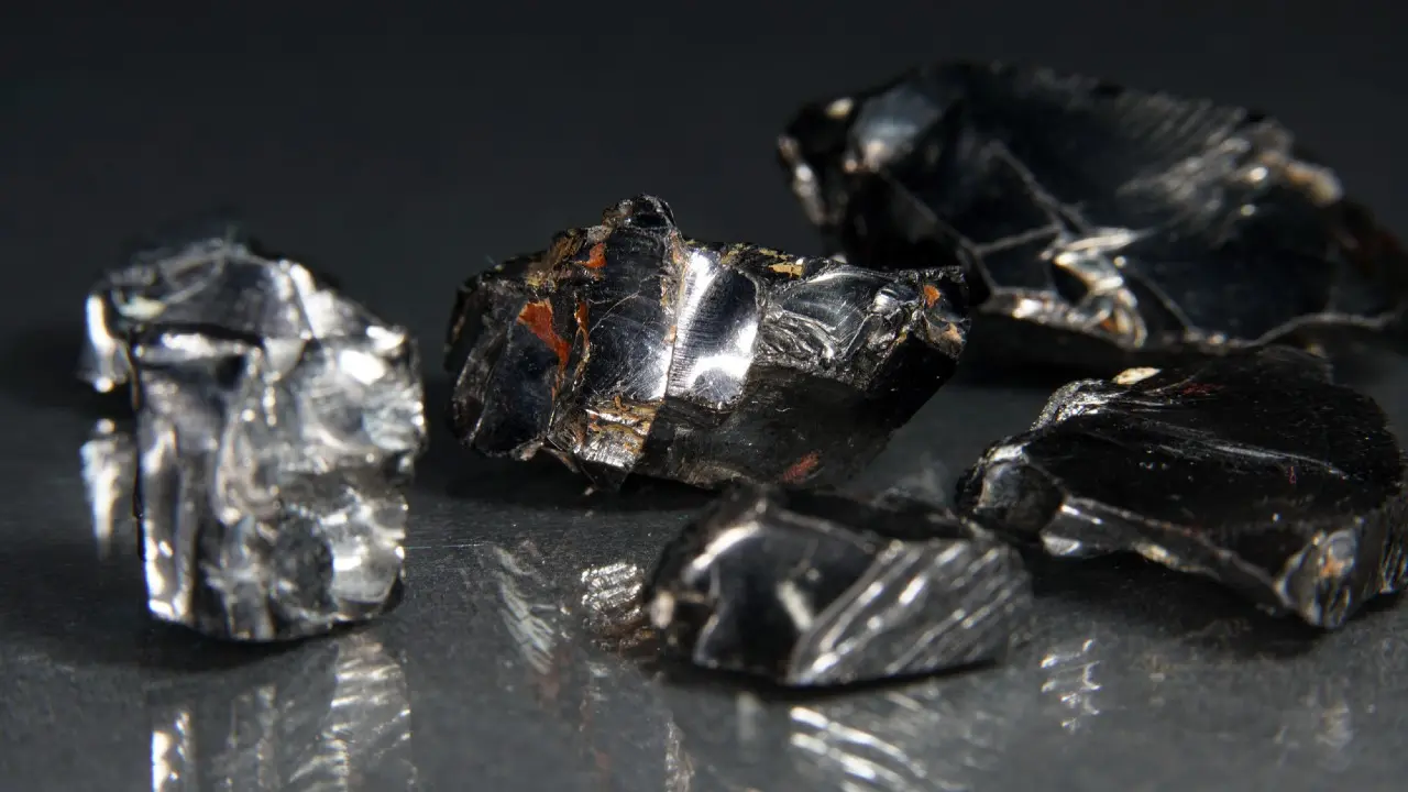 گاللي جاپونياعا ەكسپورتتالادى