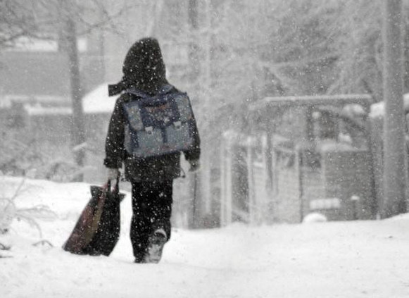 وقۋشىلار قاڭتار ايىندا تاعى دا كانيكۋلعا شىعادى