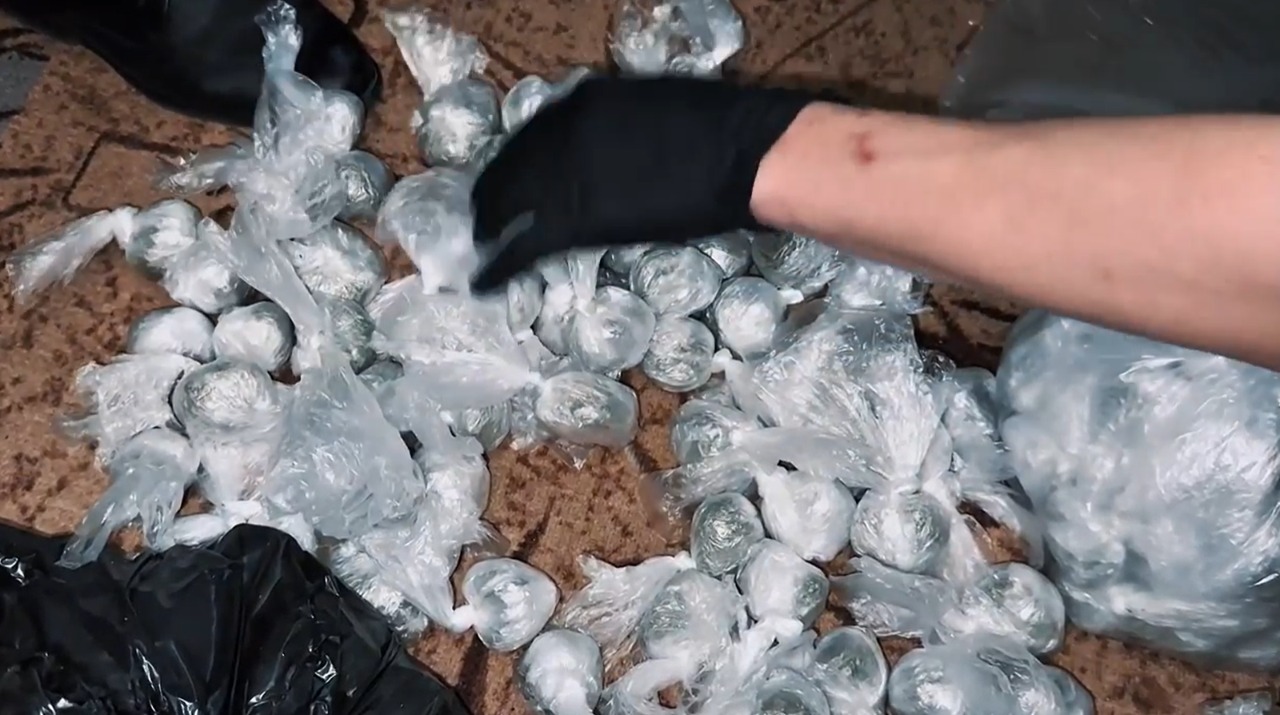 الماتىدا جاسىرىلعان ەسىرتكى زەرتحاناسى اشكەرەلەندى