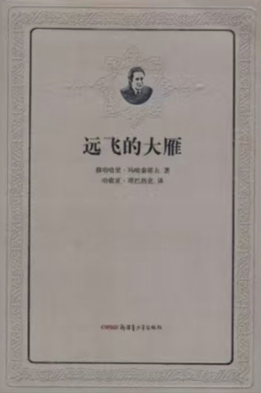 اقيىق اقىندى شەتەل وقىرمانى قالاي باعالايدى؟