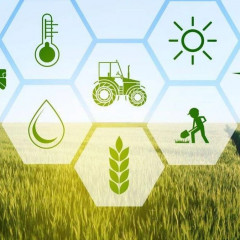 «ە-اوك» پلاتفورماسى ىسكە قوسىلادى