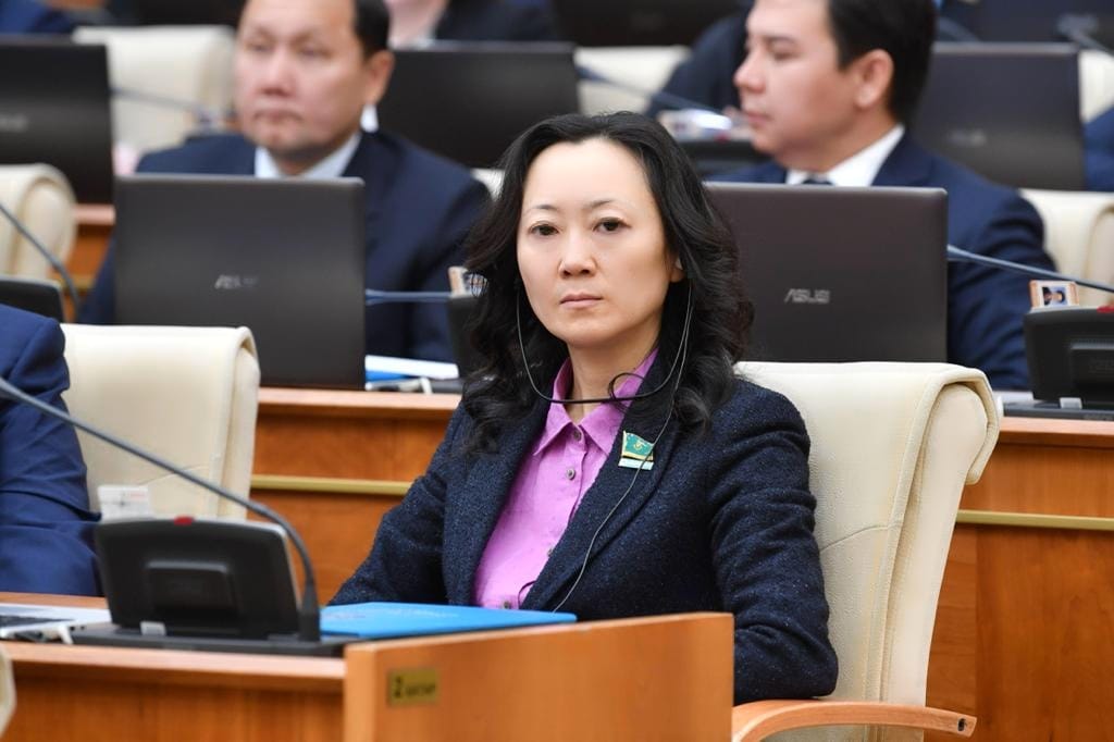 «ۆولونتەرلىك» ۇعىمىن كونستيتۋتسيادا بەكىتۋ ۇسىنىلدى