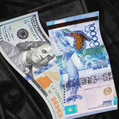 8 اقپانداعى دوللار باعامى قانداي؟