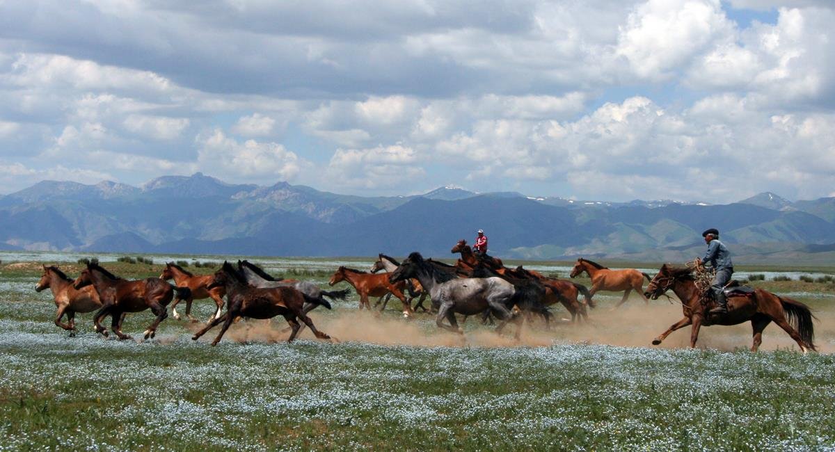 تورە ت ۇلىك تورگە وزسىن دەسەك...