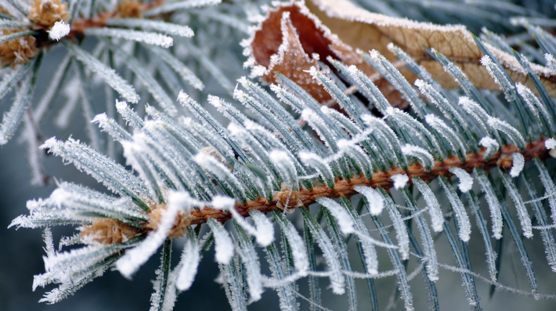 ەلىمىزدىڭ 17 وڭىرىندە داۋىلدى ەسكەرتۋ جاريالاندى