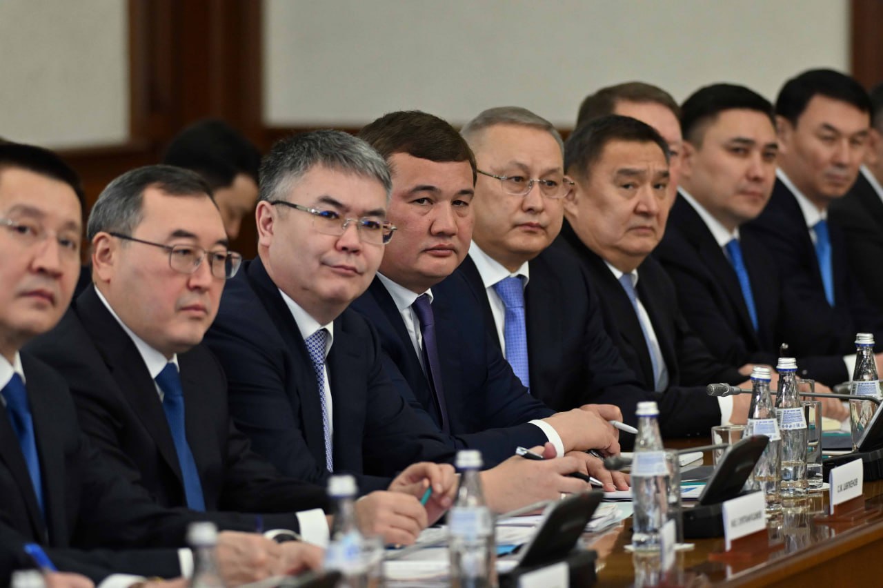 پرەزيدەنت: جاڭا ءارى ساپالى ينۆەستيتسيا تارتۋعا ارنالعان ءبىرتۇتاس ستراتەگيا قاجەت