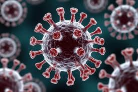 قاۋىپتى نيپاح ۆيرۋسى جانە قىزىلشا: قازاقستان شەكارادا باقىلاۋدى كۇشەيتتى