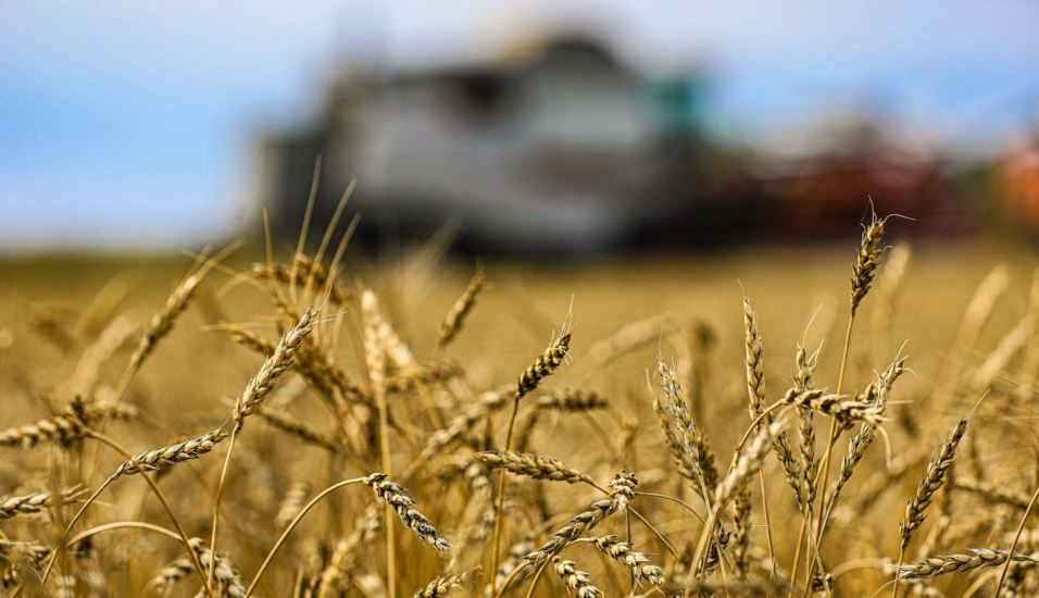 ۇكىمەت ءىرى جەر يەلەنۋشىلەرگە قانداي تالاپ قويدى؟