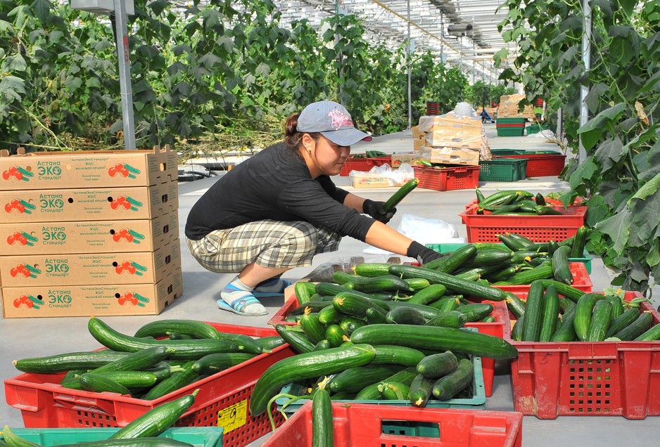 باعا تۇراقتىلىعى – باستى نازاردا