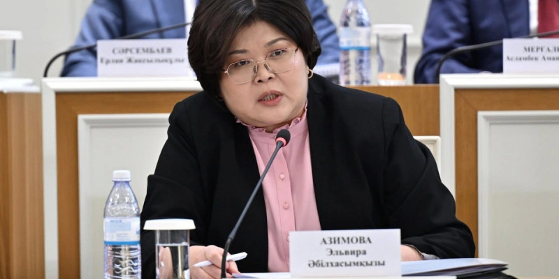 ەلۆيرا ءازىموۆا: جاڭا كونستيتۋتسيا قازاقستانداعى ادىلدىك, تۇراقتىلىق جانە قوعامدىق سەنىمنىڭ بەرىك ىرگەتاسىنا اينالادى