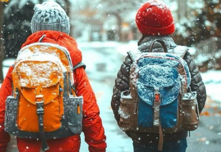 بۇگىن استانادا ءبىرىنشى اۋىسىم وقۋشىلارى ونلاين وقيدى