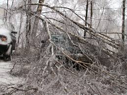 شىمكەنتتە ۇستىنە اعاش قۇلاعان 4-سىنىپ وقۋشى قازا تاپتى