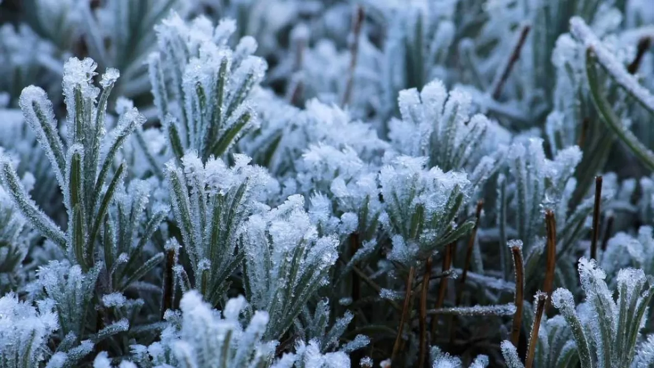 قازاقستاندا كۇن كۇرت سۋىتادى