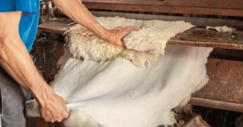 تەرى وڭدەۋ زاۋىتتارىنا 10 ملرد تەڭگەگە جۋىق ينۆەستيتسيا سالىنادى