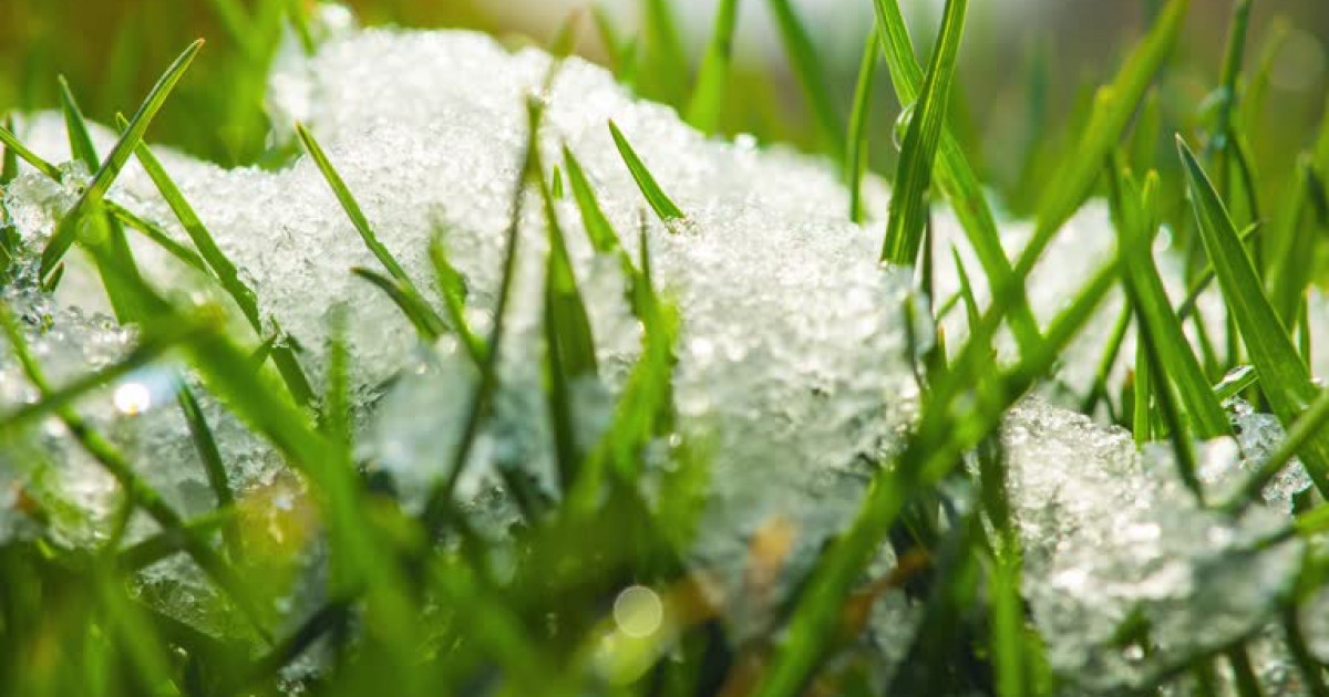 قازاقستان حالقى ناۋرىز ايىندا قانشا كۇن دەمالادى؟