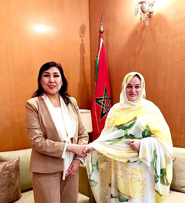 جۋرناليستيكادان – ەلشىلىككە