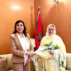 جۋرناليستيكادان – ەلشىلىككە